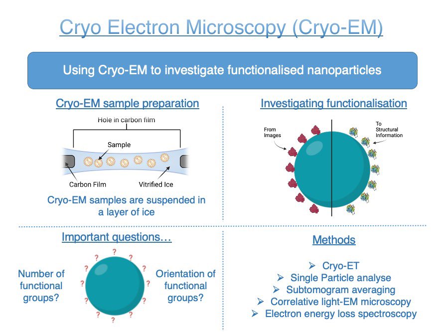 Our next ESR is <a href="/Iainharley4/">iain harley</a> <a href="/mpi_polymer/">Max-Planck-Institut für Polymerforschung</a> using #CryoEM to investigate how the functional groups that are attached to nanoparticles are effected during the functionalization process. This is important to ensure that the drug delivery system works as intended.