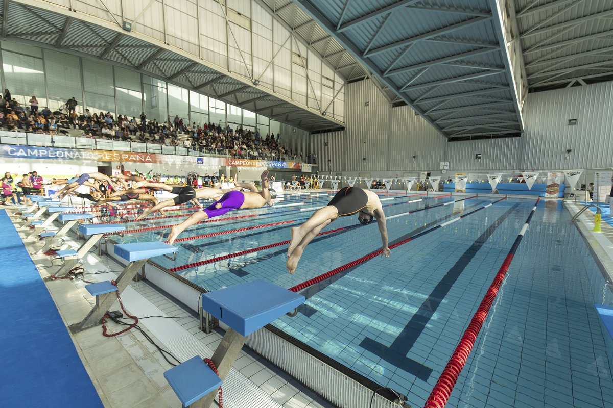 Paralimpicos's tweet photo. 🏊‍♂️🏊‍♀️ La mejor natación regresa a Valdemoro con la disputa de una nueva edición del Campeonato AXA de Promesas Paralímpicas.
Este sábado por la tarde y domingo por la mañana, síguelo 📺EN DIRECTO📱💻 a través de nuestro canal de YouTube👇
https://t.co/OfRJVC8R1U
#CampeonatoAXA2022 https://t.co/d167ehJKsb