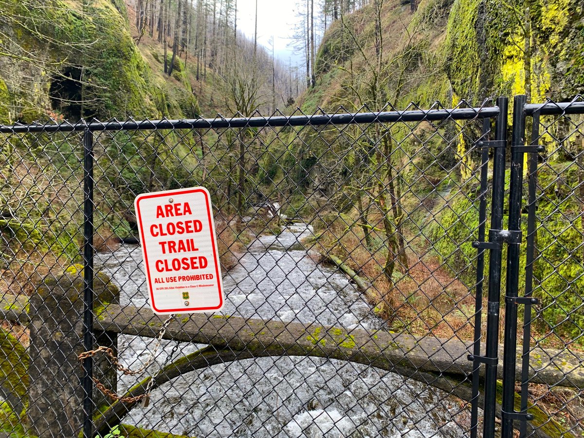 ZachsORoutdoors's tweet photo. NEW PODCAST: A deep plunge into the Columbia Gorge. We've got: 
-Best hikes &amp; eats with guidebook author @wastro 
-Latest news on Oneonta Gorge, wildfire recovery and permits with @CRGNSA rec boss Stan Hinatsu
-Tales from the fire, ancient floods
Listen: 
https://t.co/LSTO7k8Fn2 https://t.co/j4szLSTZuj