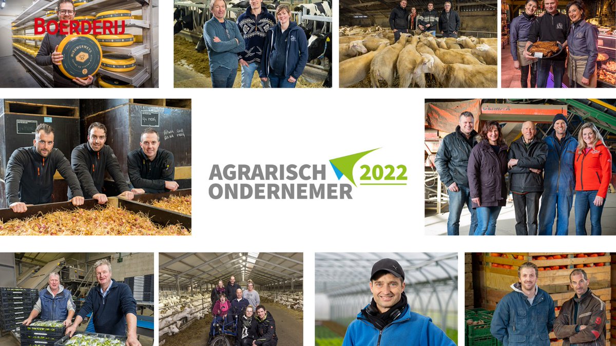 De tien kandidaten voor Agrarisch Ondernemer 2022 zijn bekend. Onder de tien kandidaten zijn vijf #veehouderijen, drie #tuinbouwbedrijven en twee #akkerbouwbedrijven. Wie wordt Agrarisch Ondernemer 2022? #agrarischondernemer #aovhj
boerderij.nl/tien-topondern…