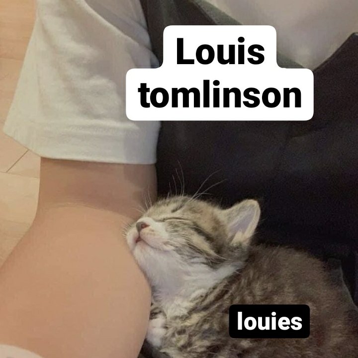 I vote #Louies for #BestFanArmy at the #iHeartAwards