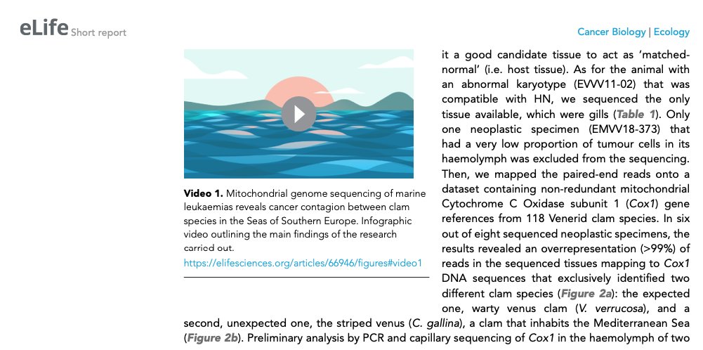Scuba Cancers ERC project tweet media