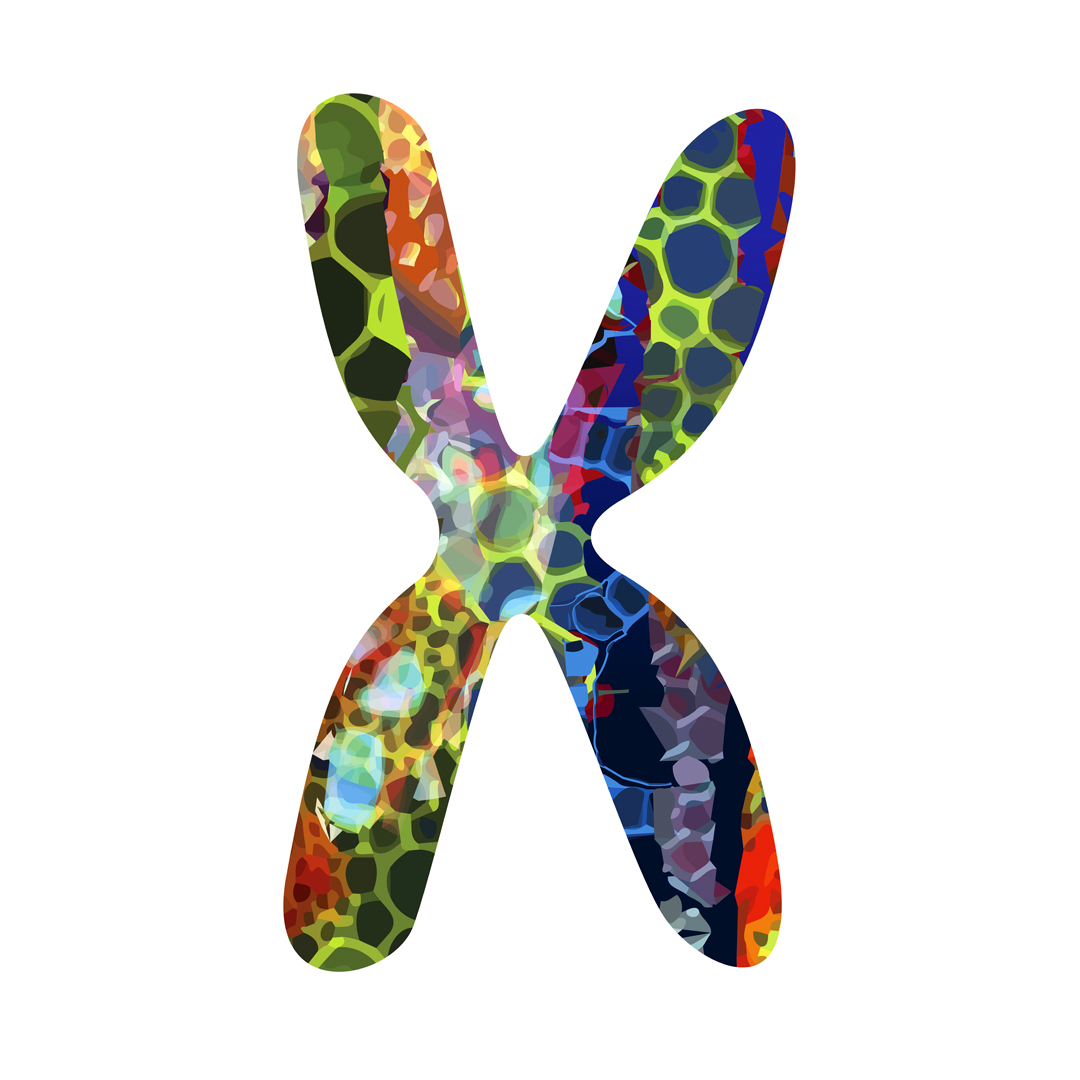 phenochroma's tweet photo. Phenochroma #90

#life #singular #different #perfect #human #together #love #evolution #art #artgram #inprogress #science #unique #unity #oneofakind #visual #color #colors #print #printdesign #collection #collectible #artcollector #nft #nftcollector #nftfrance https://t.co/yV6lYdiBJI