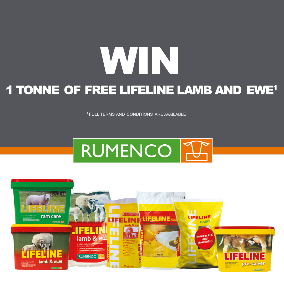 LIFELINE Lamb and Ewe is proven to increase colostrum quality by up to 25%*

For your chance to WIN 1 tonne of FREE Lifeline Lamb and Ewe, visit bit.ly/lifelineLamb

Promoter: Rumenco Ltd
*25% increase in colostrum IgG