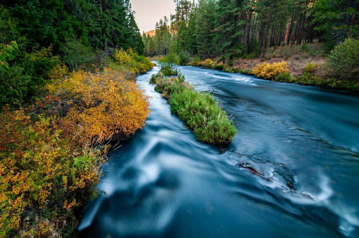 This includes ensuring forests aren’t converted to other uses, protecting them from fire and disease, and using regulation and market forces to provide incentives for forestland owners to do the right thing. #MassTimberWeek https://t.co/0VVZtwaCXL