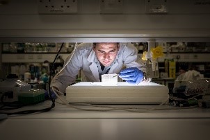BIOVentures's tweet photo. Prof. @nickcasewell @CSRIatLSTM @LSTMnews is repurposing high-quality compounds from @JNJGlobalHealth to revolutionize #snakebite treatment through a #BVGH-coordinated #WIPOReSearch collaboration. #WorldNTDDay #BeatNTDs @LSTM_NTDs @Sightsavers Read more: https://t.co/qlHChxbL5X https://t.co/31tpoDg9Kd