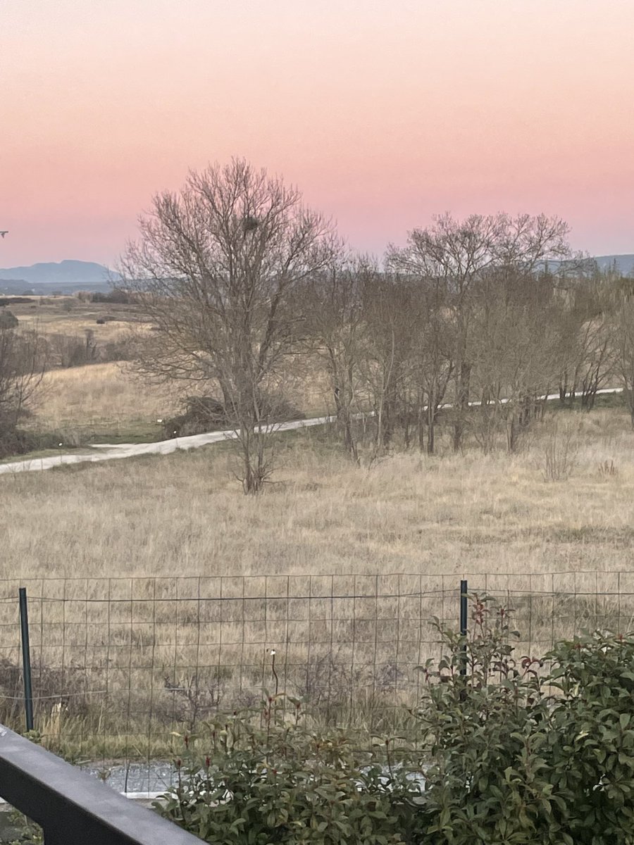 Annie Chasle (@a_chasle) on Twitter photo Je ne m’ennuie pas dans l’#Hérault, la lumière et les #randos sont magiques tout près du #picSaintLoup 👍 <a href="/PhilippeWolak/">Philippe Wolak</a> <a href="/Christine3Petit/">Christine Petit</a> <a href="/hajertebourbi/">Hajer TEBOURBI</a> <a href="/LegendumEst/">This is P h i l i p p e™️ 🇺🇦</a> Je ne m’ennuie pas dans l’#Hérault, la lumière et les #randos sont magiques tout près du #picSaintLoup 👍 <a href="/PhilippeWolak/">Philippe Wolak</a> <a href="/Christine3Petit/">Christine Petit</a> <a href="/hajertebourbi/">Hajer TEBOURBI</a> <a href="/LegendumEst/">This is P h i l i p p e™️ 🇺🇦</a>