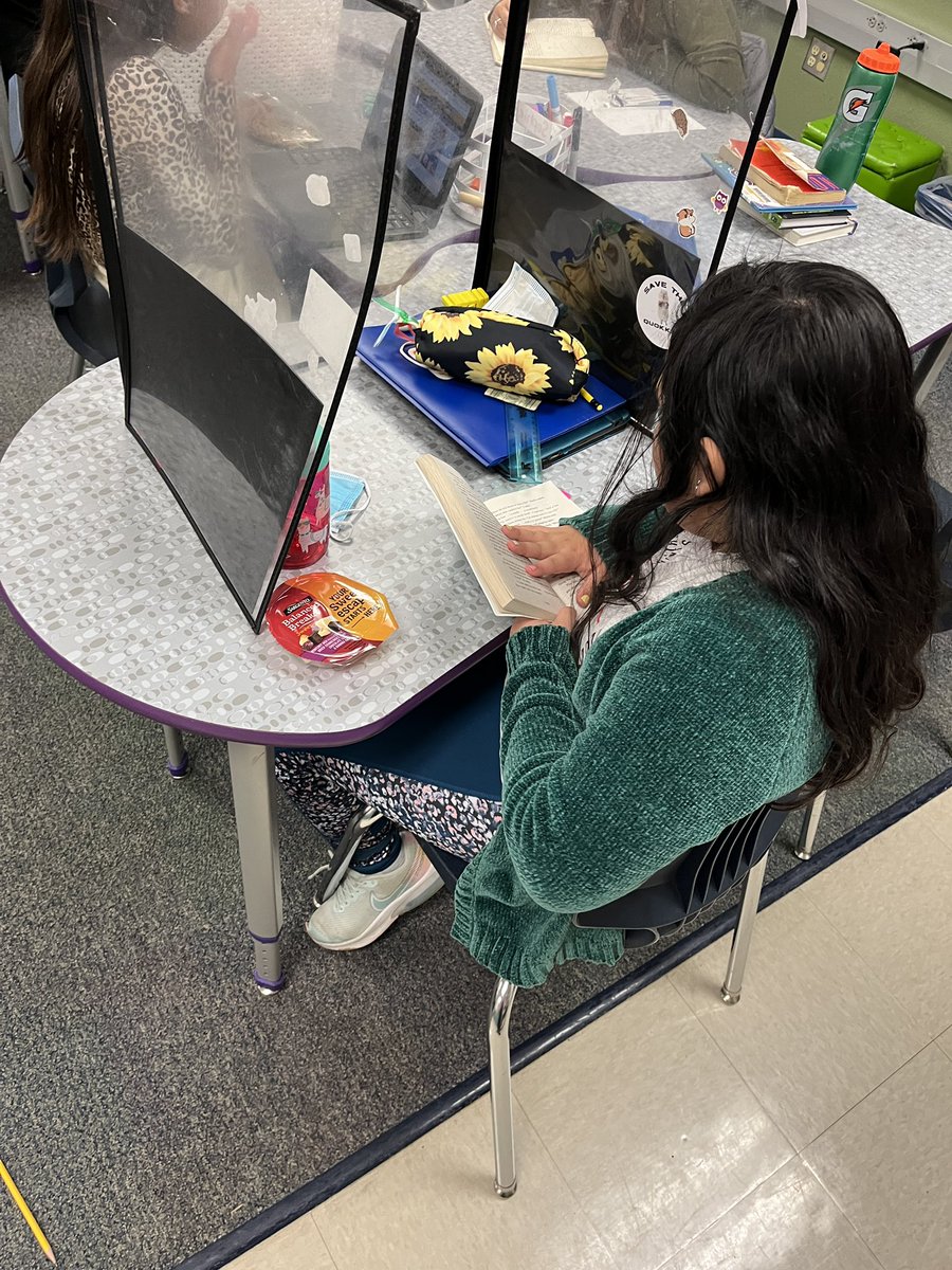 Elyse Hahne tweet media