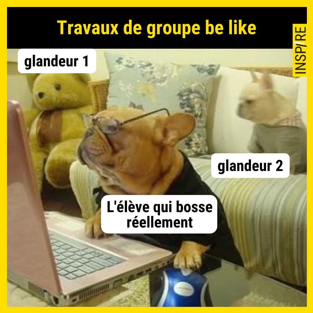 Vous validez ? 😂
#teaméclaireurs #parcoursup #education #formation #study #vielyceenne