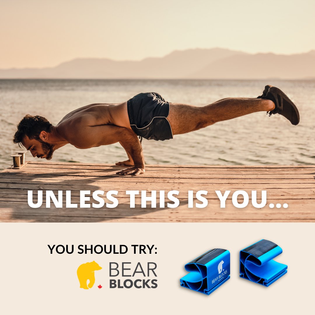 Bear Blocks tweet media