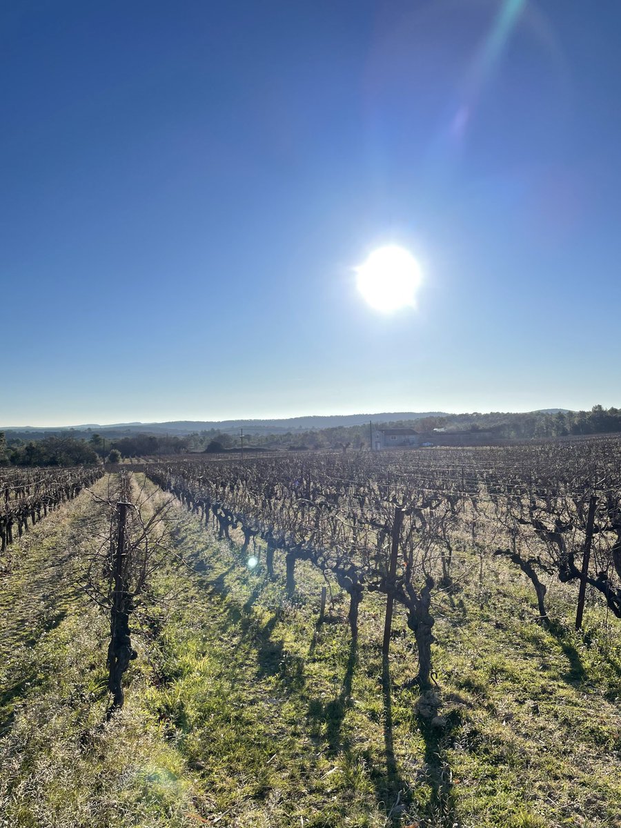 A_Chasle's tweet image. Je ne m’ennuie pas dans l’#Hérault, la lumière et les #randos sont magiques tout près du #picSaintLoup 👍 ⁦@PhilippeWolak⁩ ⁦@Christine3Petit⁩ ⁦@hajertebourbi⁩ ⁦@LegendumEst⁩