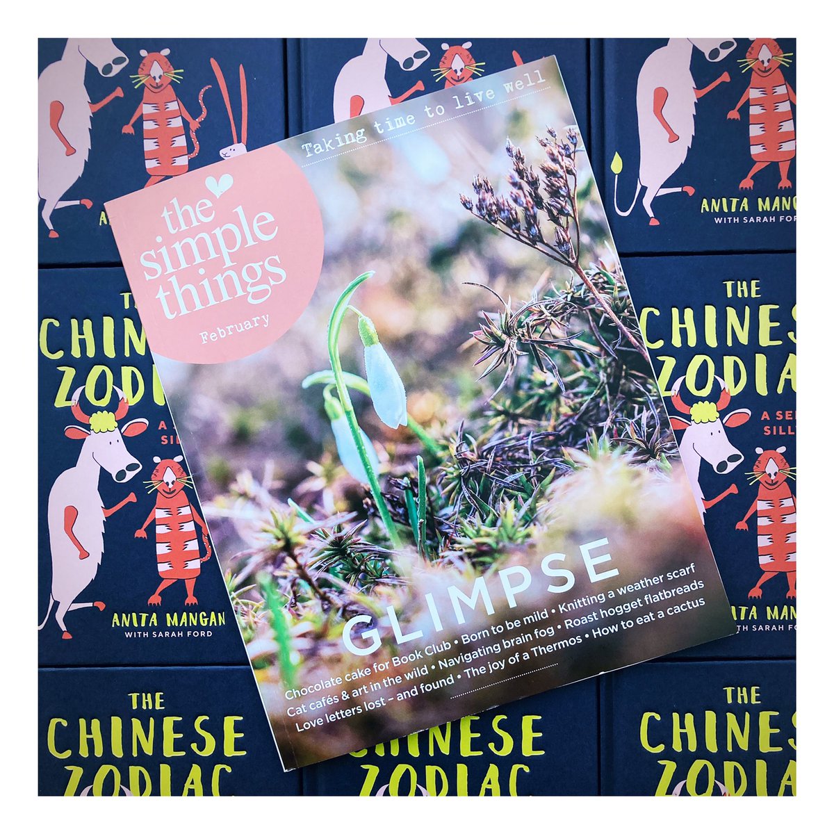 My little animal illustrations are lined up in this months <a href="/simplethingsmag/">The Simple Things</a> - celebrating the incoming Chinese New Year and my book The Chinese Zodiac: A seriously silly guide 😁