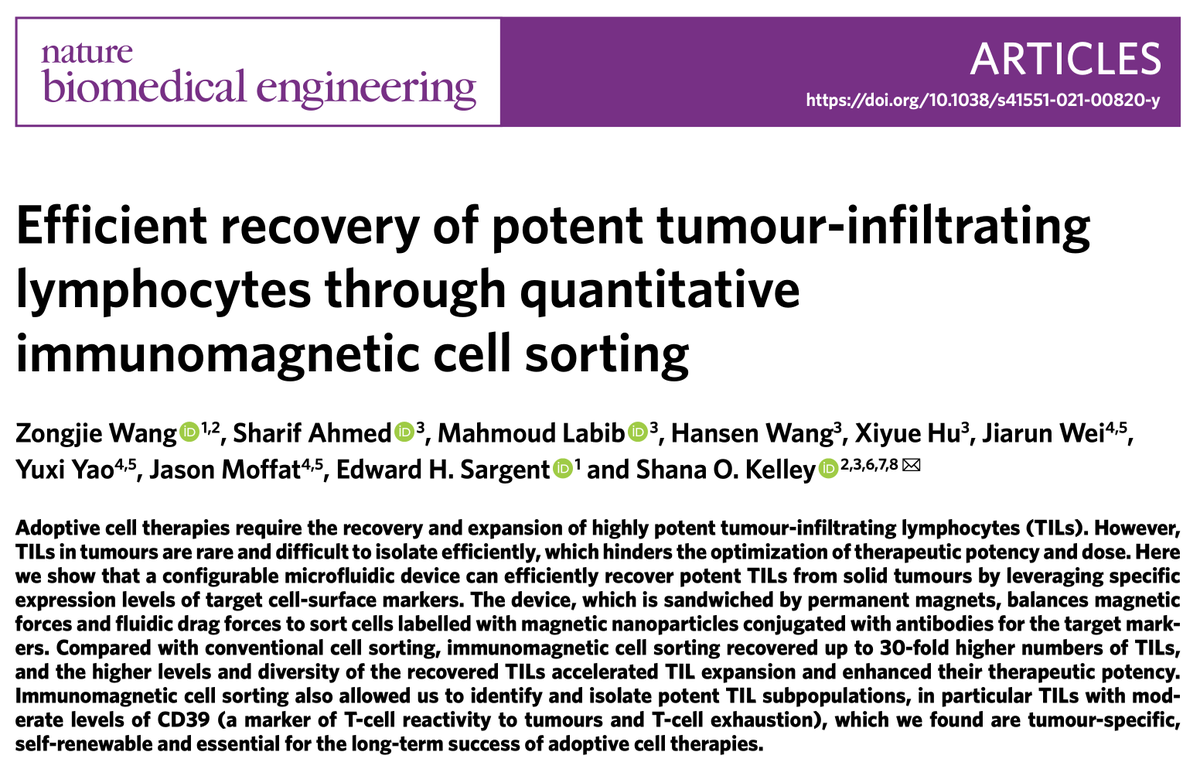 Efficient recovery of potent tumour-infiltrating lymphocytes through quantitative immunomagnetic cell sorting

nature.com/articles/s4155…