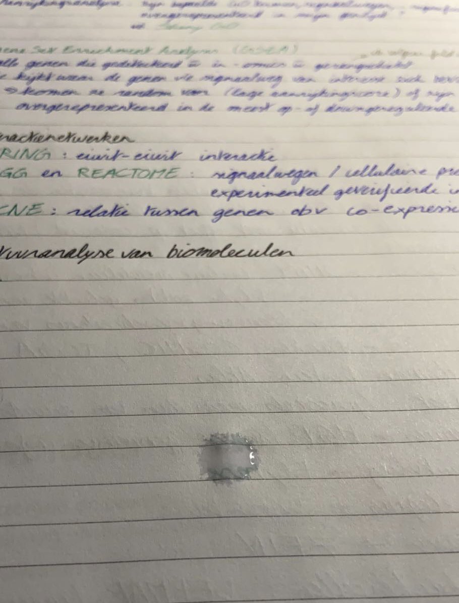 Zeg dat je morgen examen hebt zonder te zeggen dat je morgen examen hebt