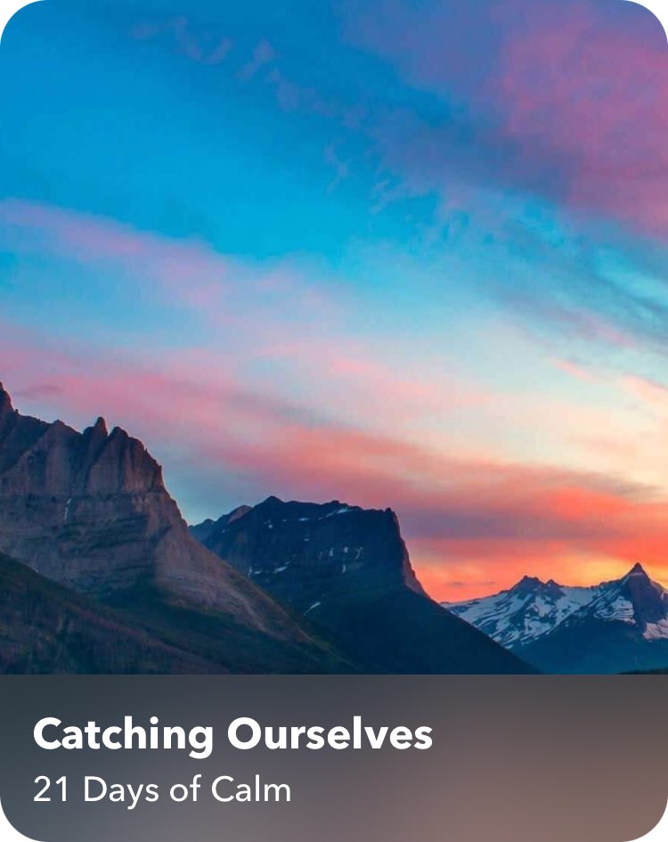 classicmannyc's tweet photo. Day 15 of 21 Days of Calm - Catching Ourselves @calm @tamaralevitt #calmapp #21daysofcalm #tamaralevitt #meditation #catchingourselves #mindfulness https://t.co/JX9xw6kRWh https://t.co/4FSv90jbyI