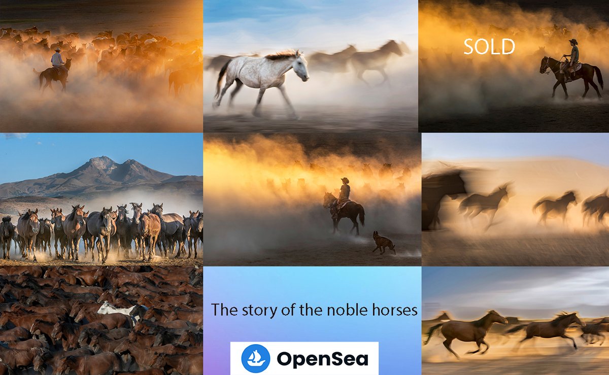 alicandogancam's tweet photo. "The Story of Noble Horses" Collection IS FOR SALE.
7 pieces from the collection consisting of 8 photos are at @opensea.  0.1-0.2 ETH
#nftcollectors #NFTCommunity 
https://t.co/MNj1D66Ffn https://t.co/jde36cygx6