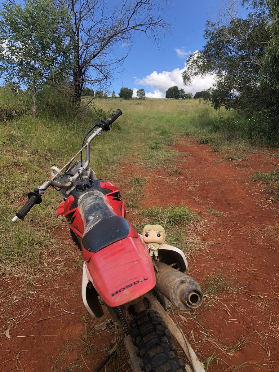 Terri Irwin tweet media