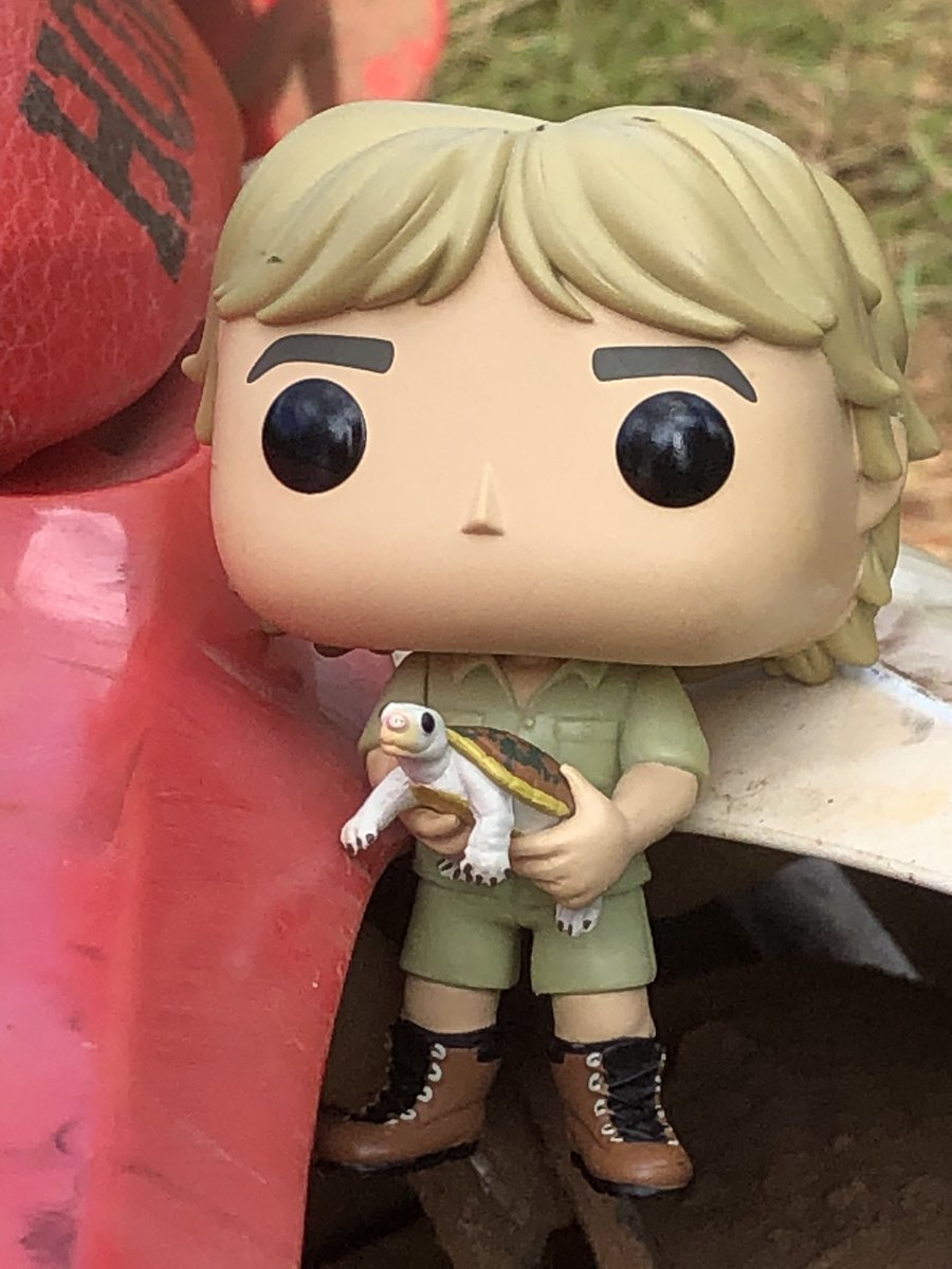 Terri Irwin tweet media