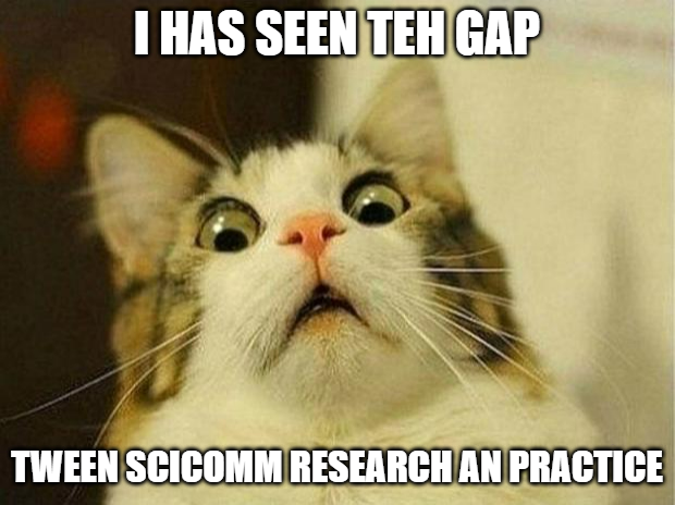 AcademicCat's tweet photo. #kittens will bridge the gap between #scicomm #research and practice 😹 https://t.co/dGP8GEjvuA