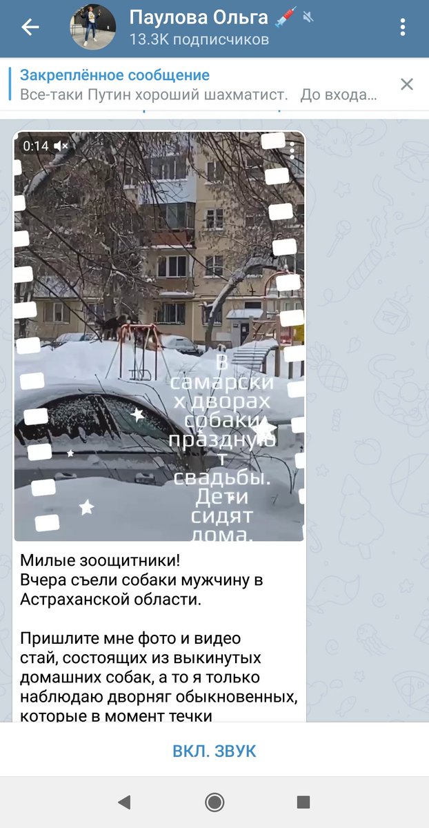 Samara_net_osvv's tweet photo. @D_Azaroff https://t.co/LAMT5MP4A2
Даже блогеры удетпишут о стаях а власти все на освв молятся! Только безвозвратный отлов с укладыванием спать через четкое время! @D_Azaroff @otlov763ru @Khinshtein @DepGorHozSamara @SODEDDS @SamMobilePriem @E_Lapushkina @GubDuma_63 @sledcom_rf @op_rf https://t.co/j8xe313gLN