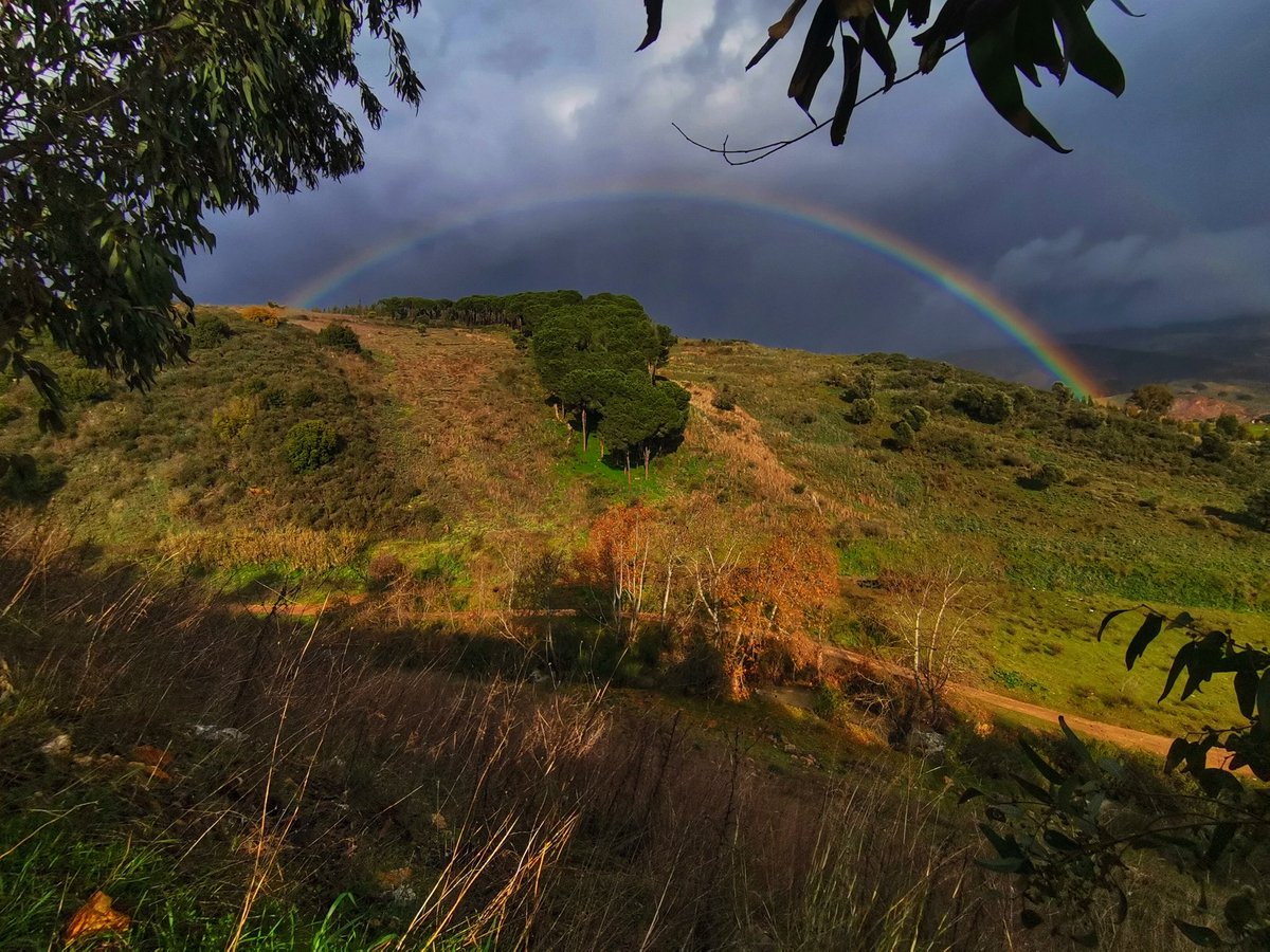 EmSam84's tweet image. مسا الخير 
الخردلي #جنوب_لبنان