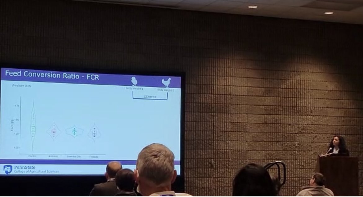 Ana Fonseca tweet media