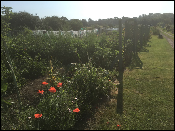 Hope Enterprises tweet media