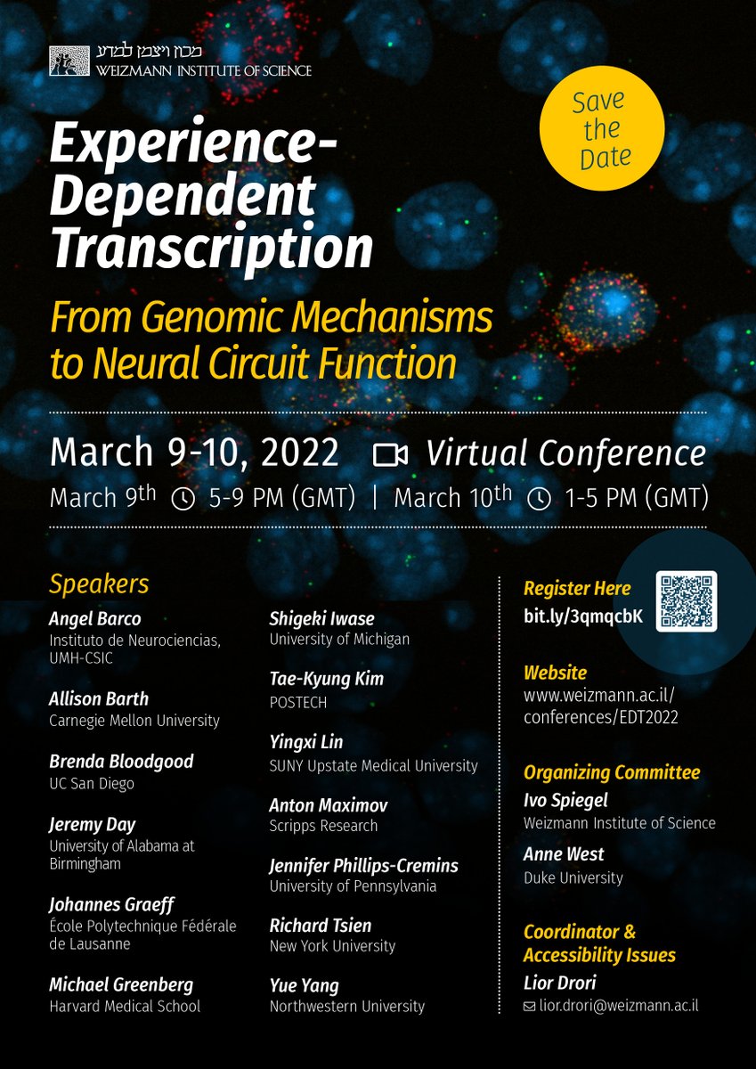 Ivo Spiegel (@spiegel_lab) on Twitter photo Pls RT: Join us on March 9 & 10 for a (free!) virtual conference on “Experience-dependent transcription”. Details & registration on conference webpage (weizmann.ac.il/conferences/ED…), AWESOME line-up of speakers w/ <a href="/MEGNeuro/">Michael E. Greenberg</a> <a href="/BarcoLab/">BarcoLab</a> <a href="/GraeffJohannes/">Johannes Gräff</a> <a href="/DayLabUAB/">Jeremy Day</a> @brendabl00dg00d 1/2 Pls RT: Join us on March 9 & 10 for a (free!) virtual conference on “Experience-dependent transcription”. Details & registration on conference webpage (weizmann.ac.il/conferences/ED…), AWESOME line-up of speakers w/ <a href="/MEGNeuro/">Michael E. Greenberg</a> <a href="/BarcoLab/">BarcoLab</a> <a href="/GraeffJohannes/">Johannes Gräff</a> <a href="/DayLabUAB/">Jeremy Day</a> @brendabl00dg00d 1/2