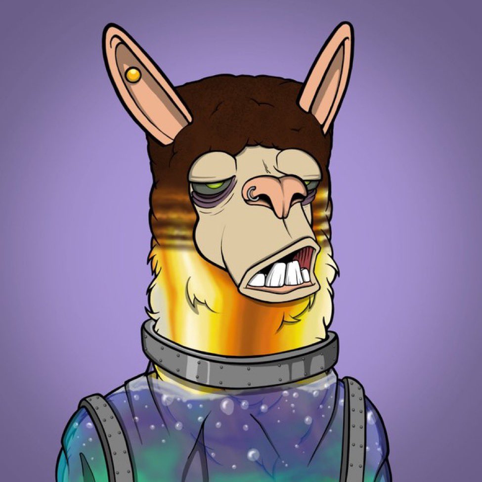 The Nft Time tweet media