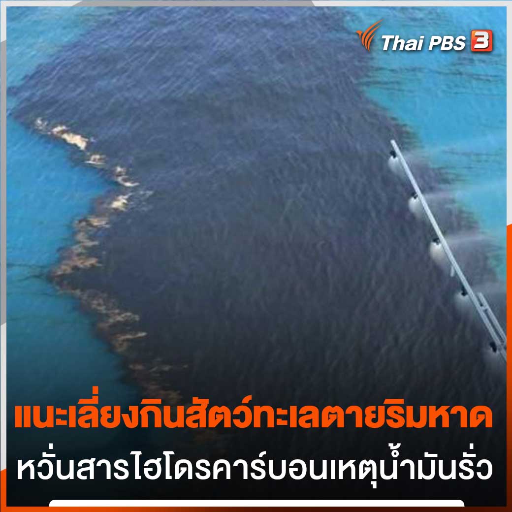 Thai PBS tweet media