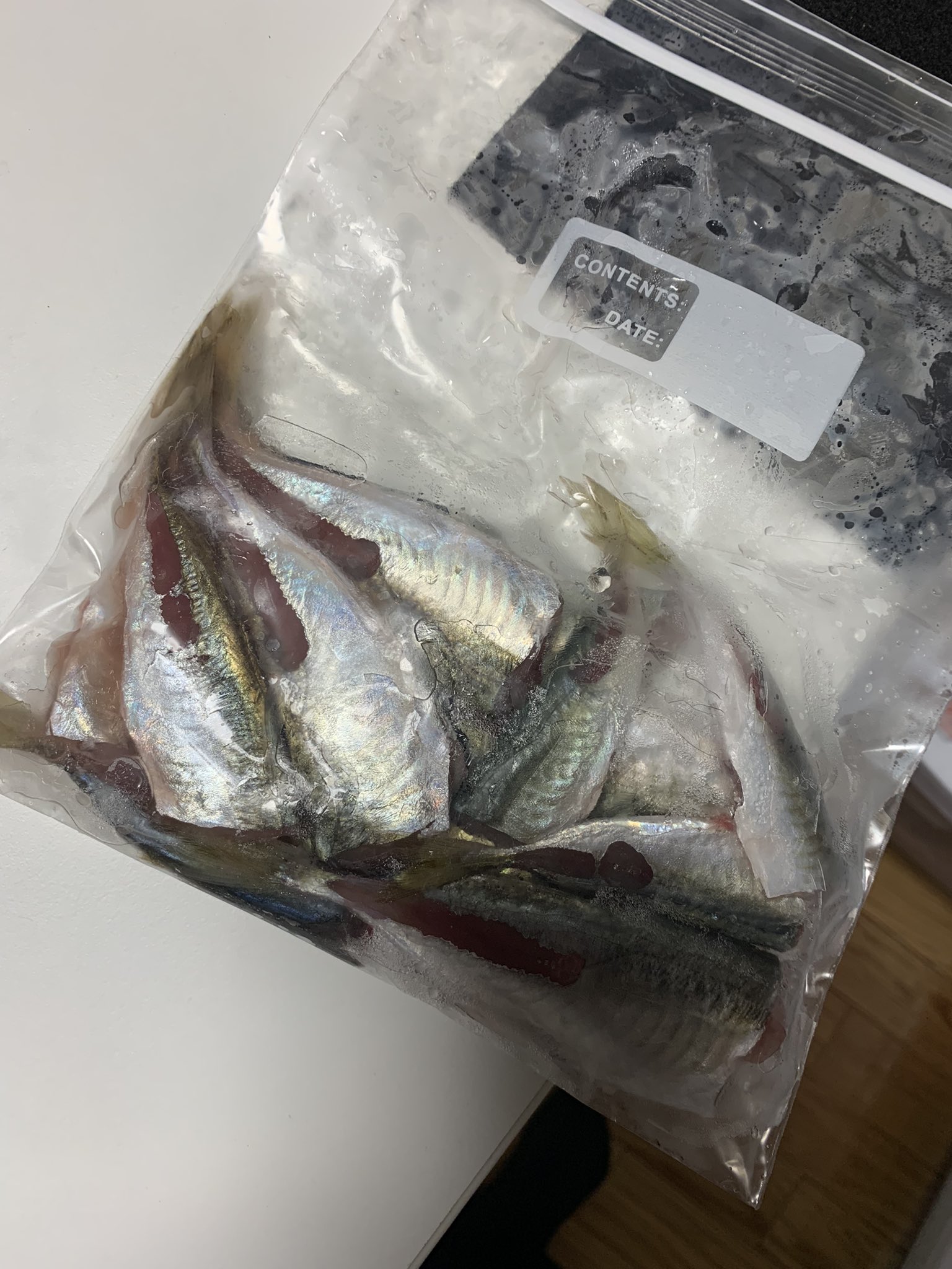 神無 本日は相方さんと釣りへ 冷凍庫のアジが尽きたのでうちは投げサビキで豆アジ匹 虫餌ではイトヒキハゼとトラハゼが に釣れました 隣で居たサギ さんにお裾分け 笑 そして相方は ルアーでうんともすんとも言わず タモでイカを掬ってました