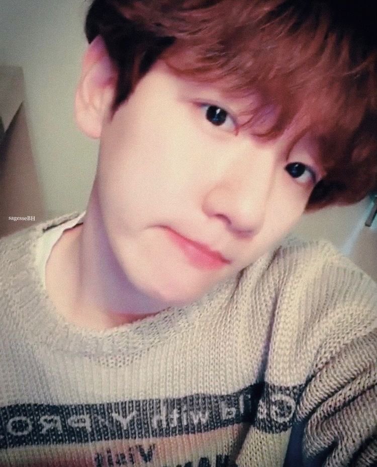 5honey6's tweet photo. 백현아 나중에 냉삼 브이로그 찍어주세유..🙄🙄💗💗💗 https://t.co/o7B0NOQ2Om