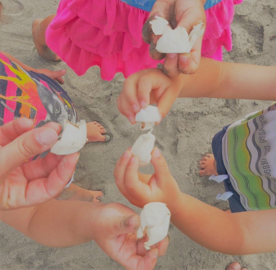 KelezS's tweet image. Yesterday, me and my kids found sea turtle egg shells, great learning experiences for them and one more evidence of nesting activity in northern Peru #elÑuro #seaturtles #seaturtlenesting #nestingbeach #MarTropicaldeGrau #tortugasPeru #Peru