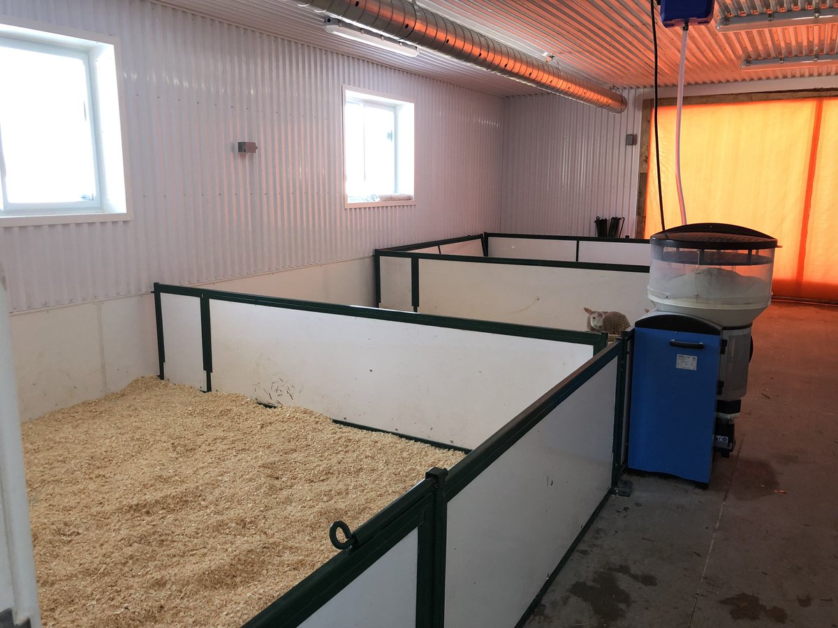 Lambing 2022 has started. Changed up a few things in new barn, including adding an orphan room. Change is good!!