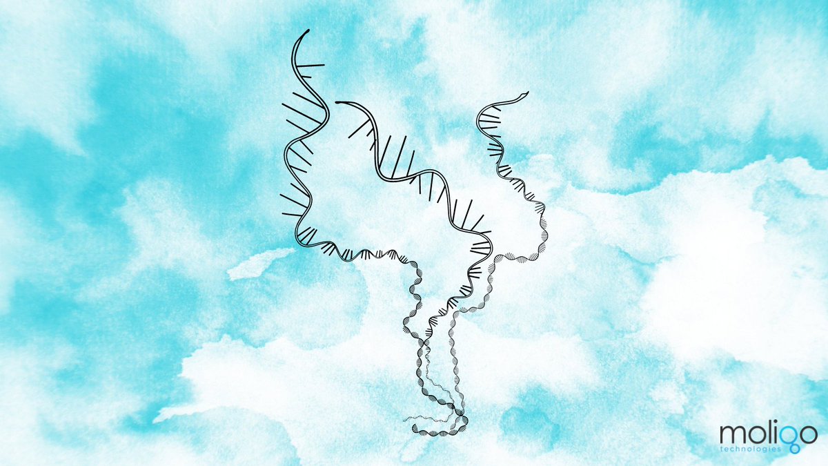 moligotech tweet media