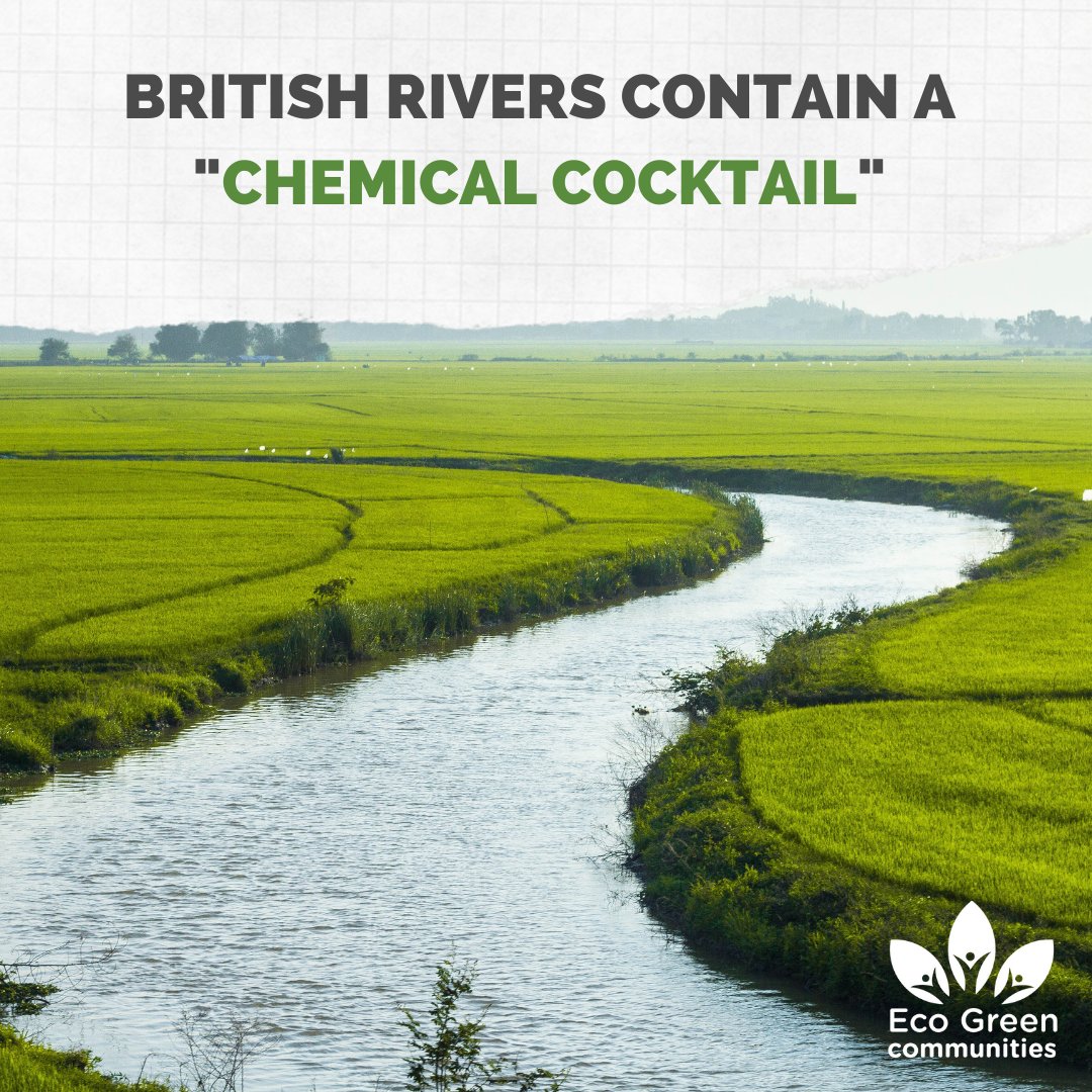 A report claims 14% of British rivers meet good ecological standard. The remaining 86% are a "chemical cocktail" of sewage, plastic and agricultural waste. The report urges for regulatory action, investment and collaboration to restore rivers to good ecological health. #pollution