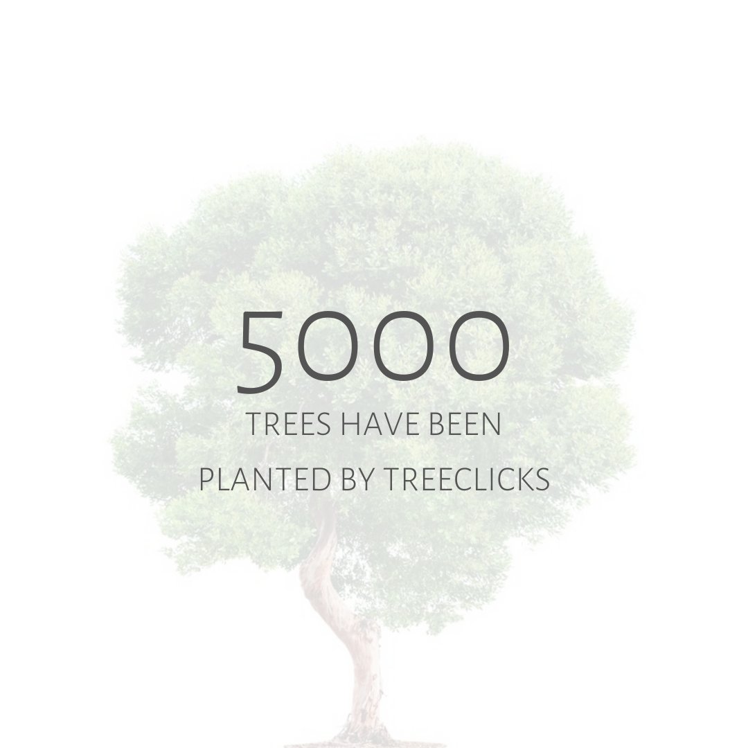 TreeClicks's tweet image. The milestone of 5000 trees has been reached!🌳⁠ See treeclicks.com to know more about the projects supported by TreeClicks! 🔗⁠
⁠
Reducing the amount of stuff we buy is the best way to help the planet 🌎, but for those purchases that can’t be avoided, use TreeClicks.