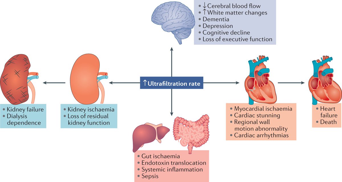 Nature Reviews Nephrology tweet media