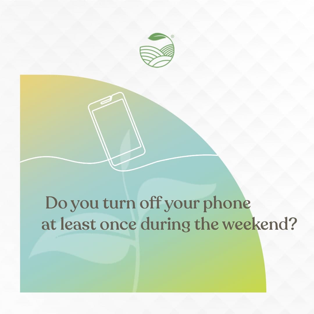 There cannot be self-care without action. In the hustle and bustle of our busy lives, we often forget how important it is to disconnect from the ever buzzing phones and media outlets.
#theteashelf #productivitytips #tealovers #productivityhacks #selfcaretips #mentalhealth