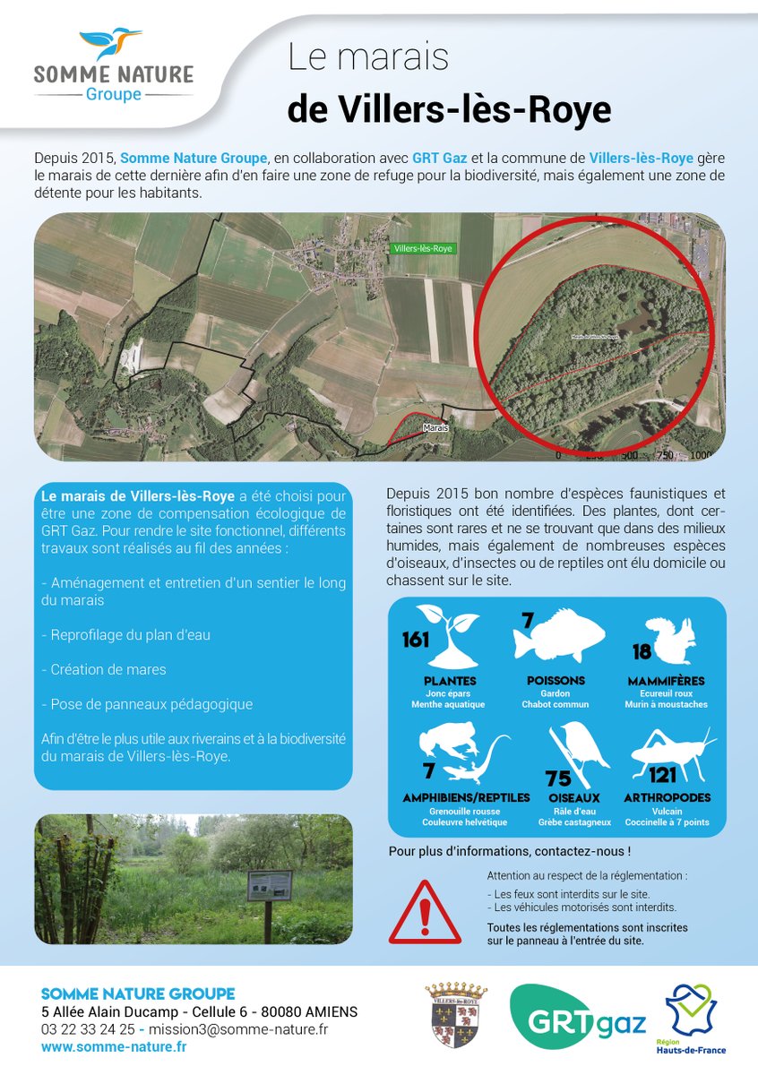 Chaque année depuis 2015, nous réalisons un suivi de nombreuses zones humides du département. Cette action permet de préserver et valoriser ces milieux essentiels pour la biodiversité faunistique et floristique.