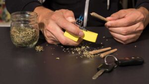 IASIC3's tweet photo. Crash rates spiked with the legalization of recreational marijuana use and retail sales in California, Colorado, Nevada, Oregon and Washington, a new study finds. #DUI #DrivingWhileHigh

https://t.co/1m8zOAGPjH https://t.co/jWgRViPb2e