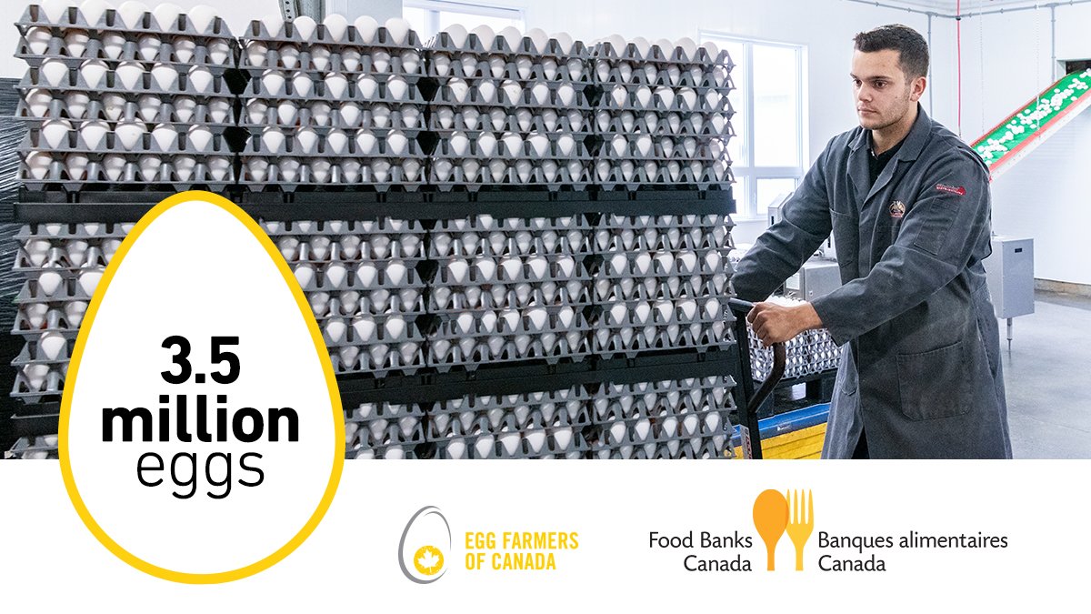 Egg Farmers tweet media