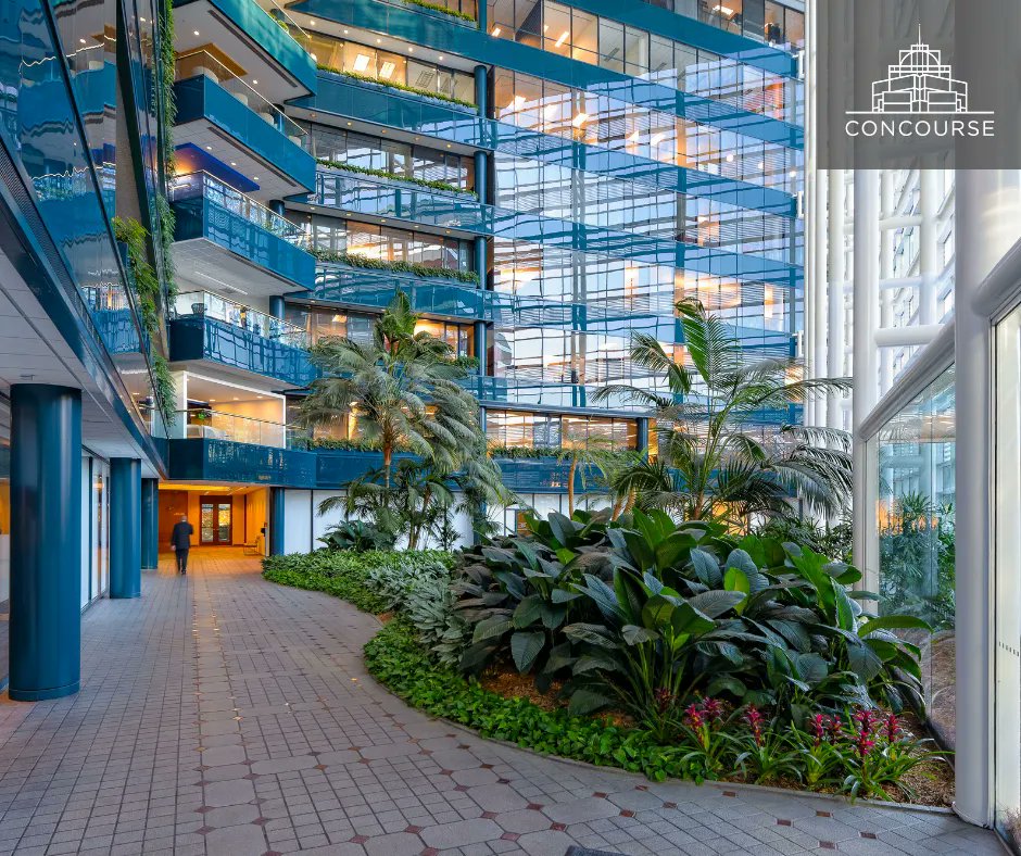 kingqueentowers's tweet photo. 🌱 The greenery doesn't end once you step indoors. At Concourse Office Park you get to experience a vibrant and thriving space, no matter where you are. 

#officedesign #atlantaofficespaces #reignredefined #atlantaofficespaces #atlantabusiness https://t.co/tBS4amlCV4
