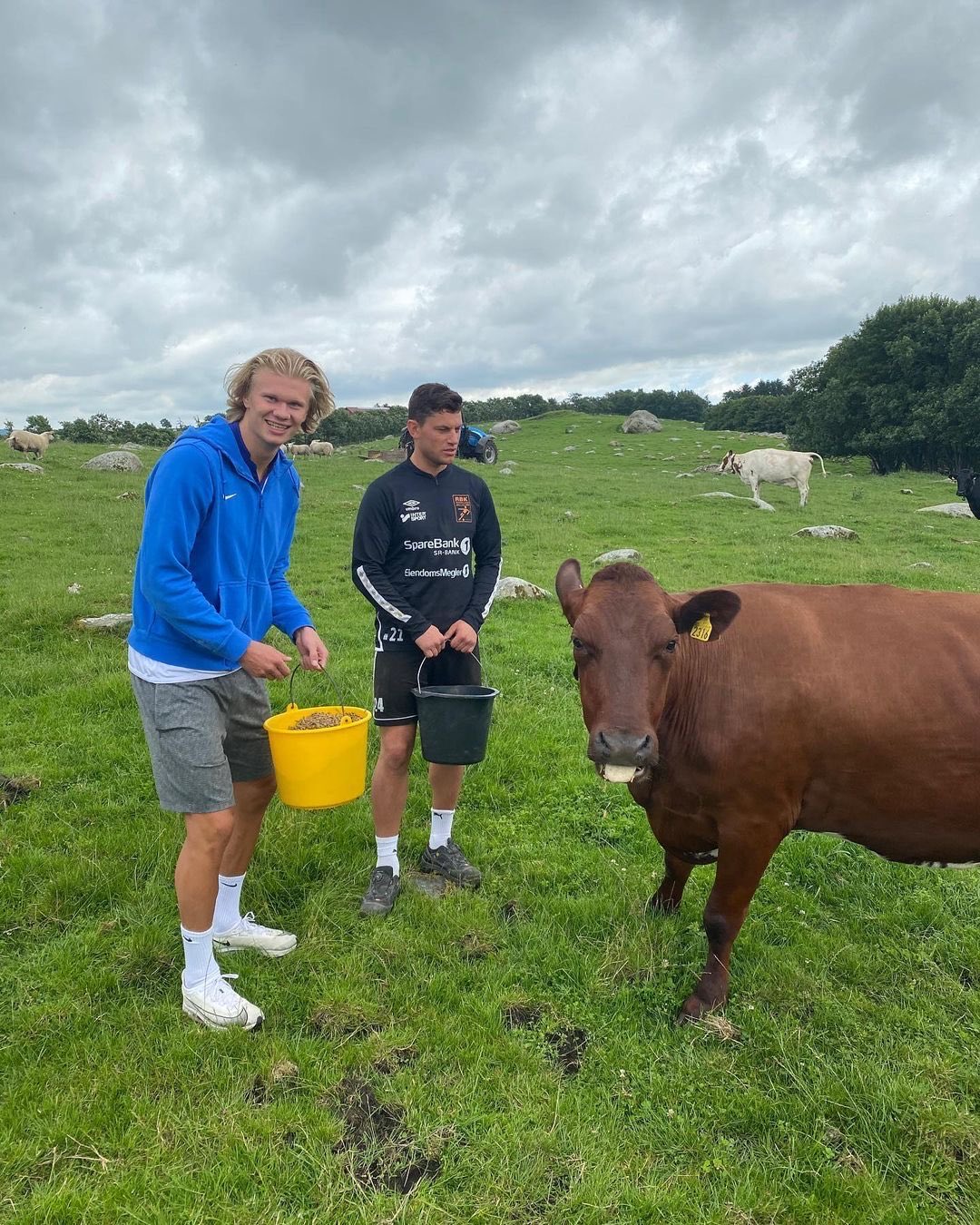 Football Tweet ⚽ on X: "Erling Haaland: "I try to relax as much as I can.  Being on a farm... driving a tractor, feeding my cows, that's my dream.  That's what I
