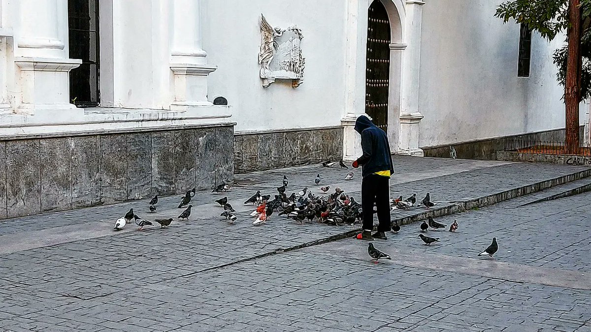 RodriguezEnger1's tweet photo. Una de las Características de nosotros los Venezolanos es la BONDAD no la Perdamos.
#fotocallejera #caracasurbana #ciudadenarte #Caracas #ene27 #sercaraqueño https://t.co/MRsysMqGsu