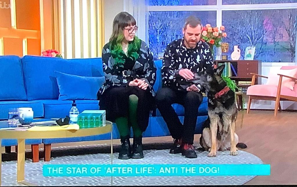 BusyB86's tweet photo. @NetflixUK Antilly the Wonder Hound has just been on @thismorning and is loving all your tweets https://t.co/3ZviSKTLGg