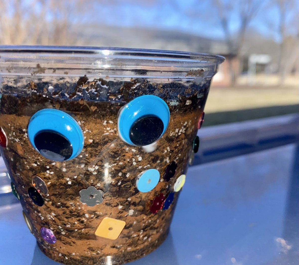 Our 1st graders <a href="/MECME_School/">MillbrookElem</a> became soil experts and created the perfect soil blend to grow their seeds. #PBLworks