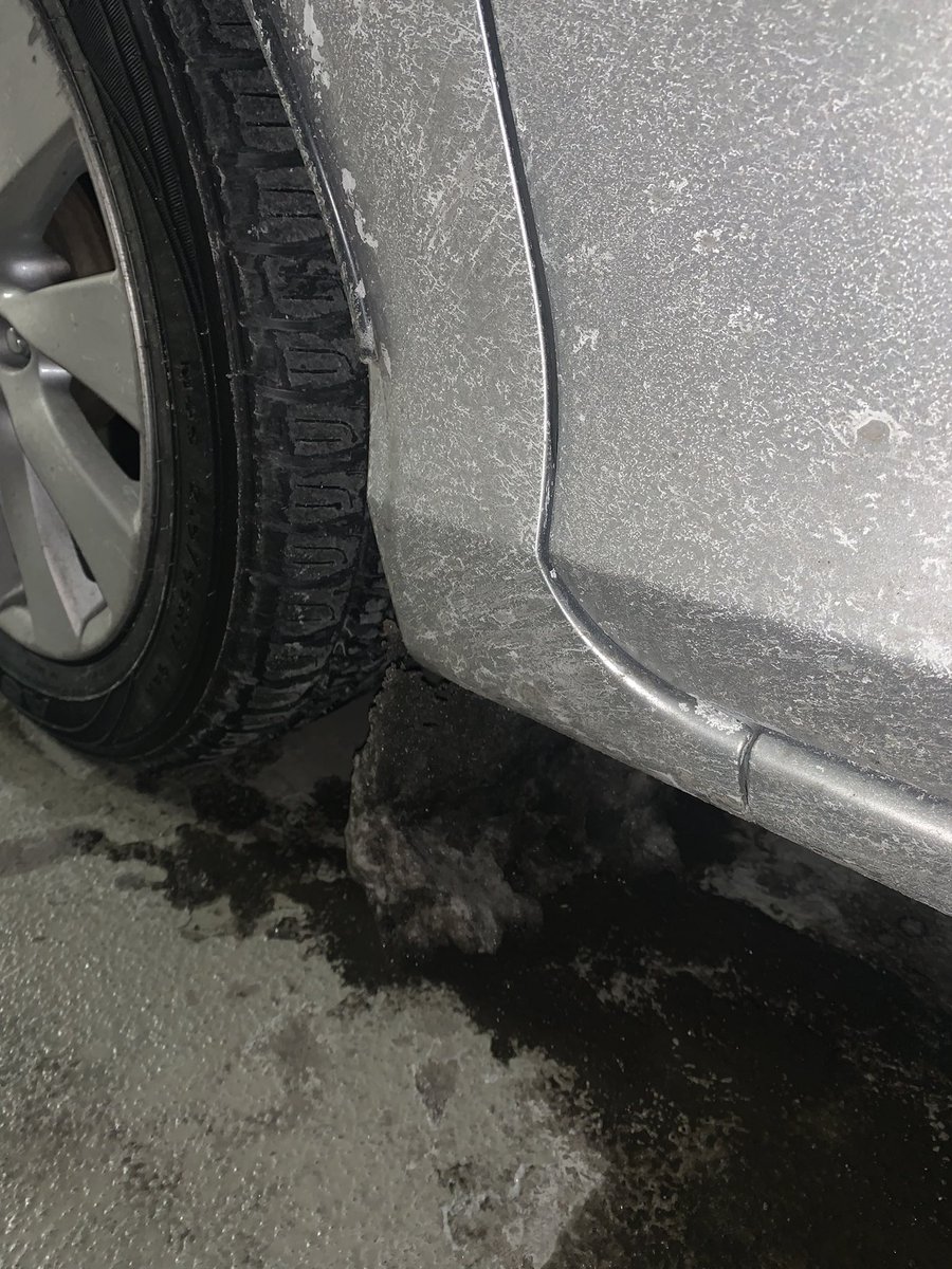 Violeta Podrumedic tweet media