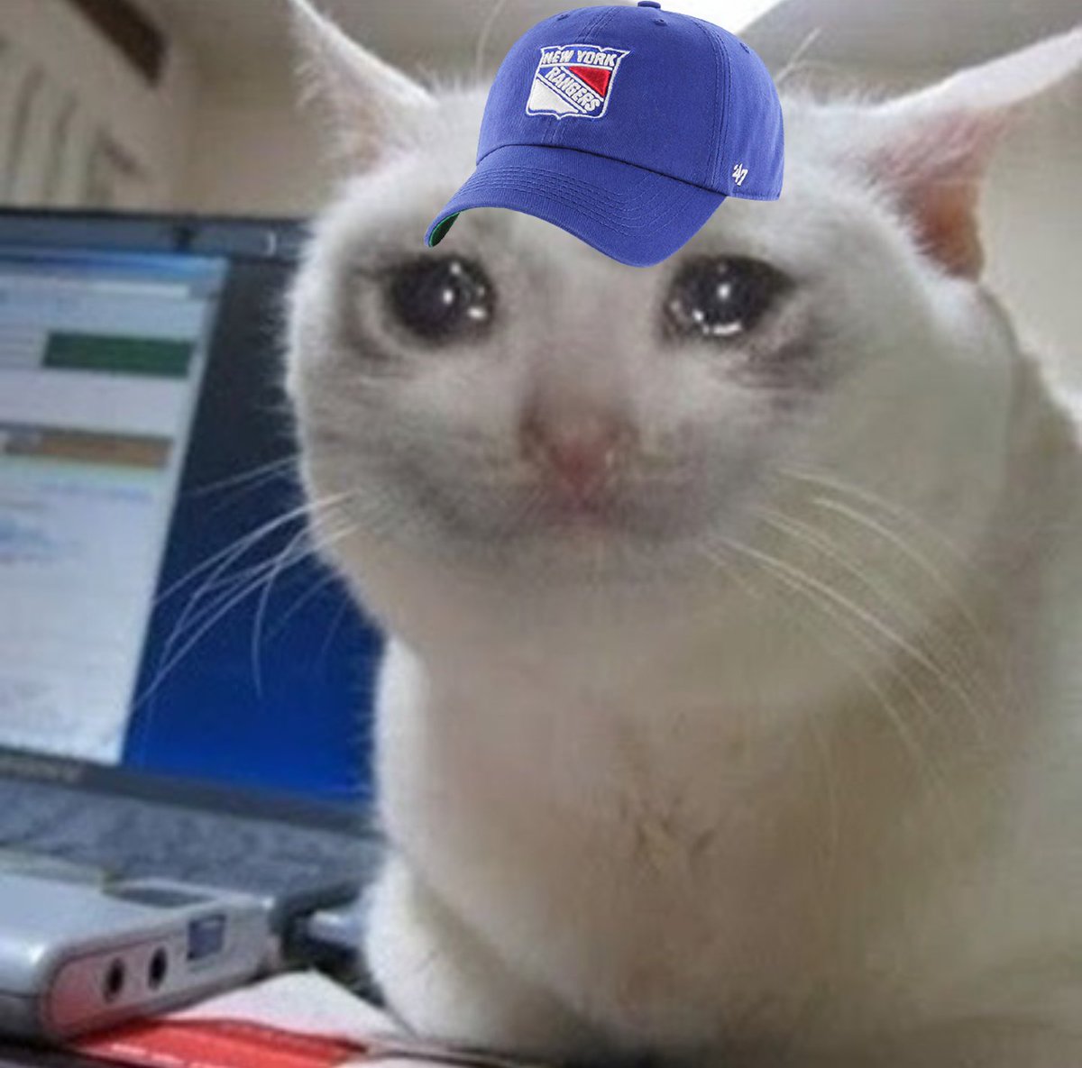 RangersMSGN's tweet photo. not sure i'm emotionally ready for tomorrow https://t.co/15Ov2No5UY