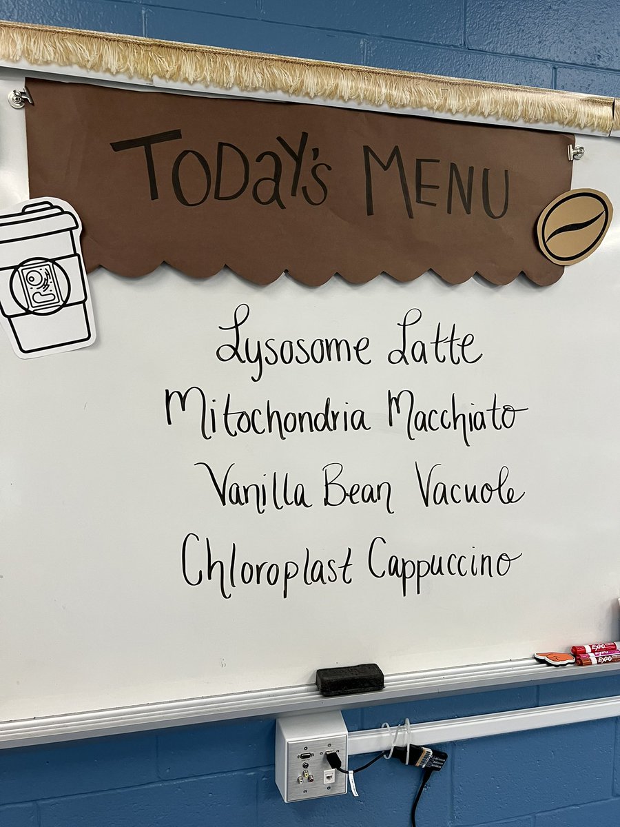 MrsBiddle7's tweet photo. Cellbucks Day! Students compare the parts of a cell to the jobs at Starbucks! I love a good room transformation to bring the fun into our lessons. Thanks for the idea @maniacsinthemid! ☕️🧫

@LrmsWolves @PWCSScience https://t.co/p1UzxEikmf